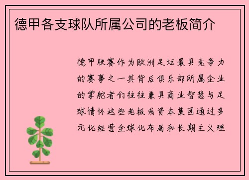 德甲各支球队所属公司的老板简介